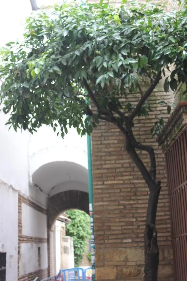 Loft Turistico En Casco Historico, Wifi Y Tv Satelite Gratis Apartment Cordoba