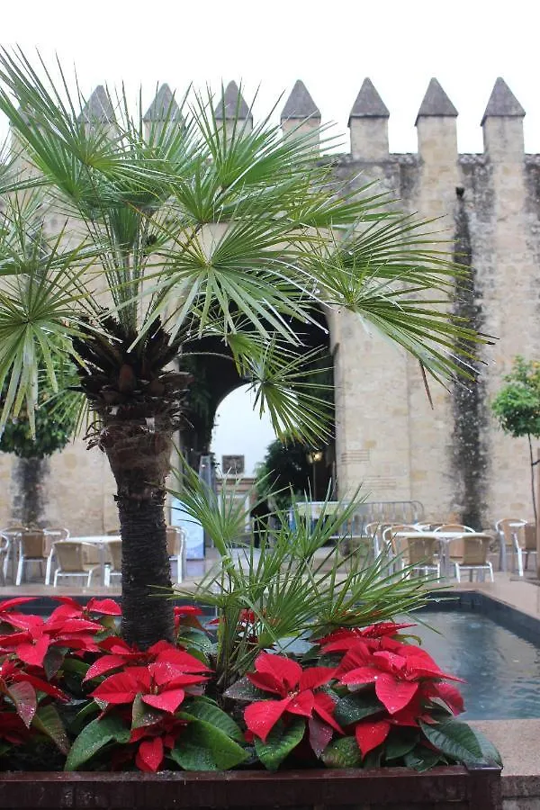 Loft Turistico En Casco Historico, Wifi Y Tv Satelite Gratis Apartment Cordoba