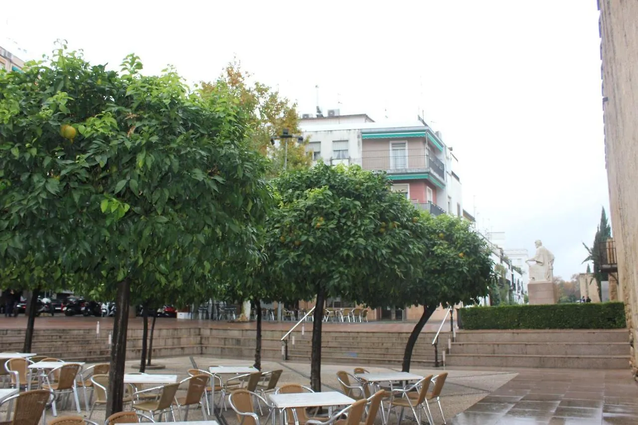 Loft Turistico En Casco Historico, Wifi Y Tv Satelite Gratis Apartamento Córdova Espanha